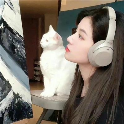 爱情与战争
